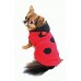 Lady Bug Chenille Hoodie - Coccinella